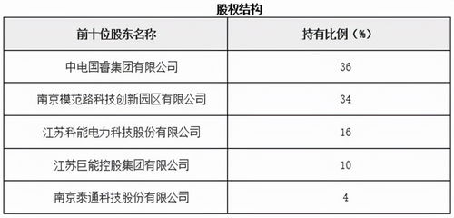 江苏南京物联网技术服务公司股权招投标代理服务解析